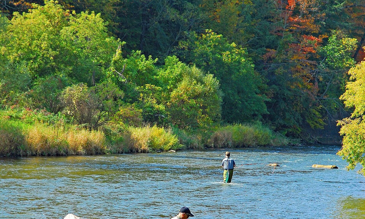 Spokane House | WATER FRONT- Cozy Country Home SPA, Pristine Lawns, wildlife & trails to Explore