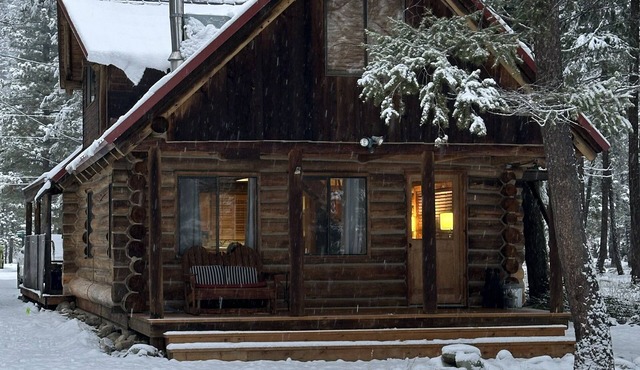 A Log Cabin in the Woods