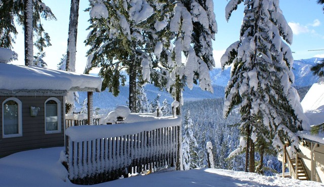 "Eagles Nest Cabin" REMOTE ESCAPE AWAY FROM EVERYTHING!
