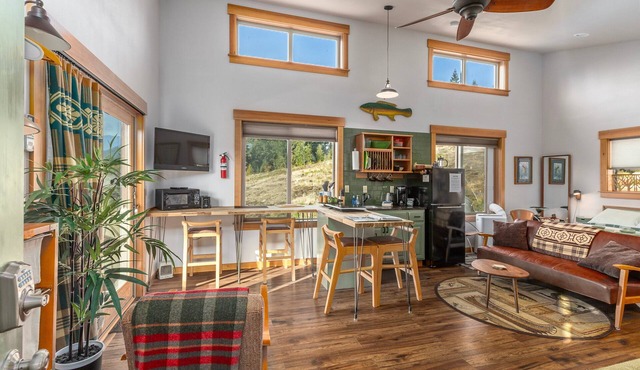 Little Big Fish | Wifi, BBQ, AC ,Rainier View