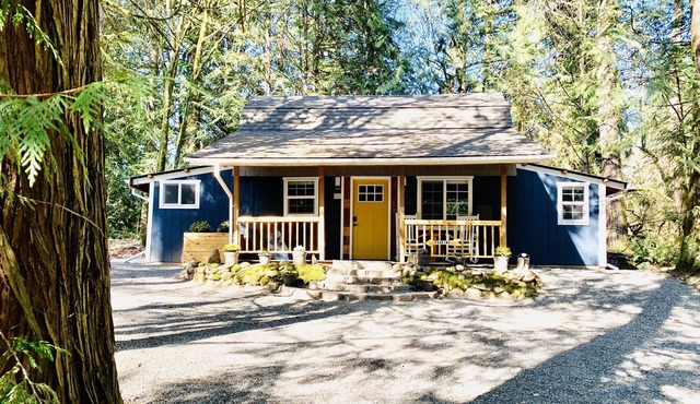Luxury Cottage in the Woods with Movie Theater!