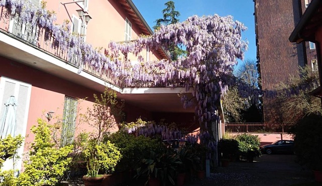 Milano in Voga