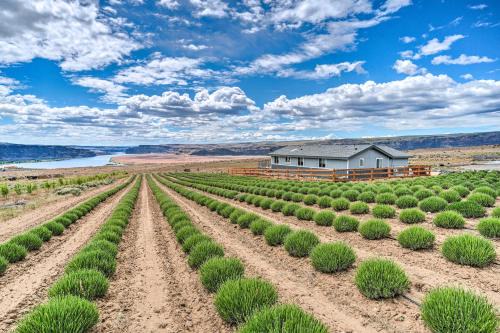 Quincy Home on Lavender Farm w/River Views!