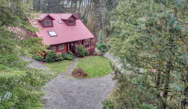 🍯The Honey Bear Cabin In The Woods w/hot tub🌲🐻