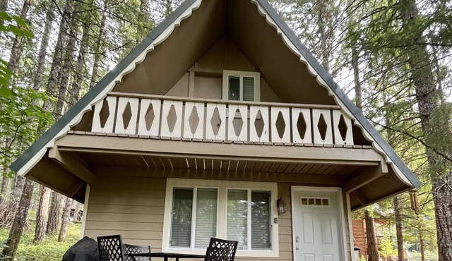 Timberline cabin close to Mt. Rainer and White Pass, WiFi, Netflix, AC