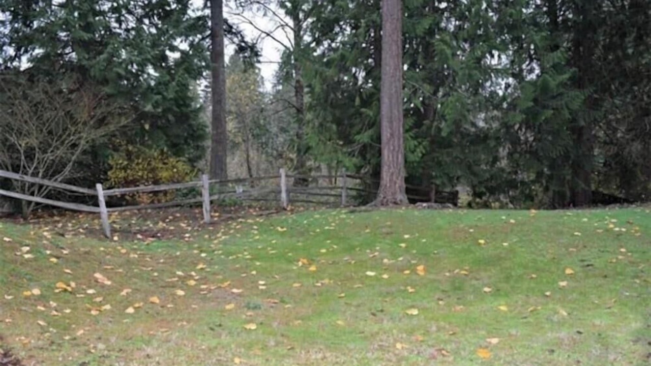 Photo of Outdoor in Sammamish