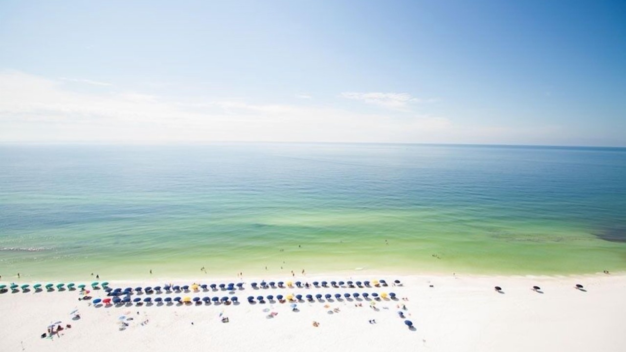 Photo of Others in Destin