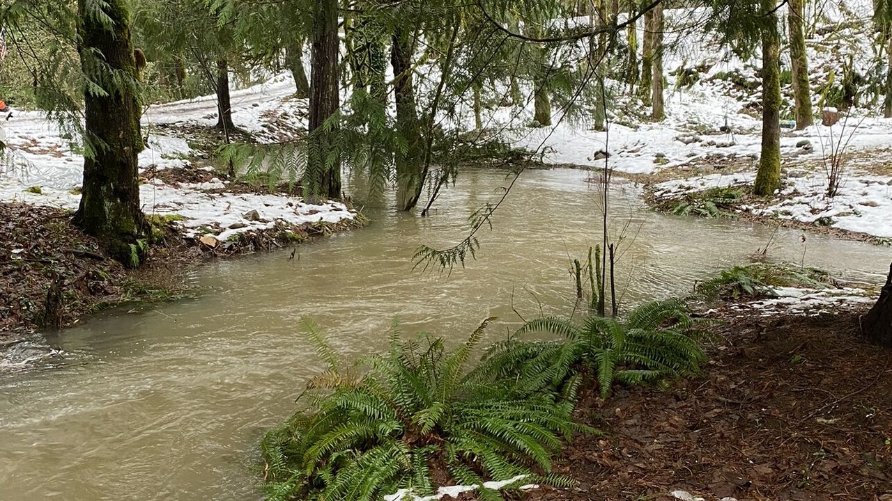 Photo of Outdoor in Washougal