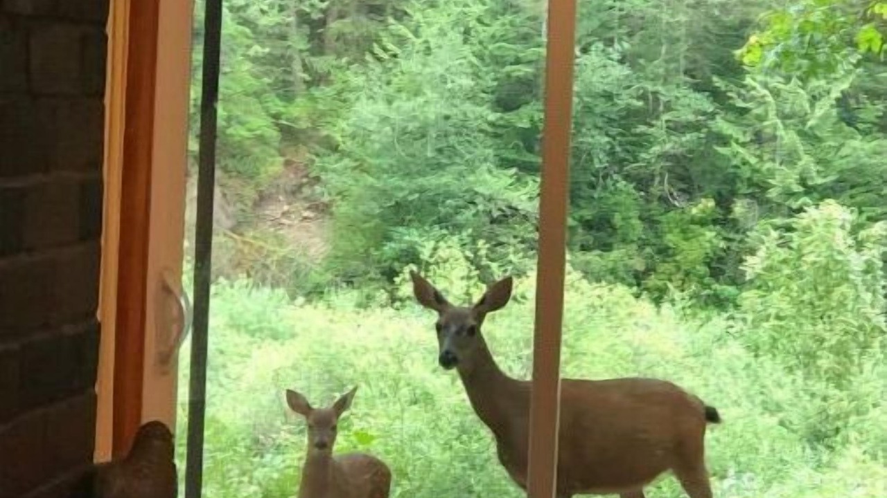 Photo of Others in Washougal