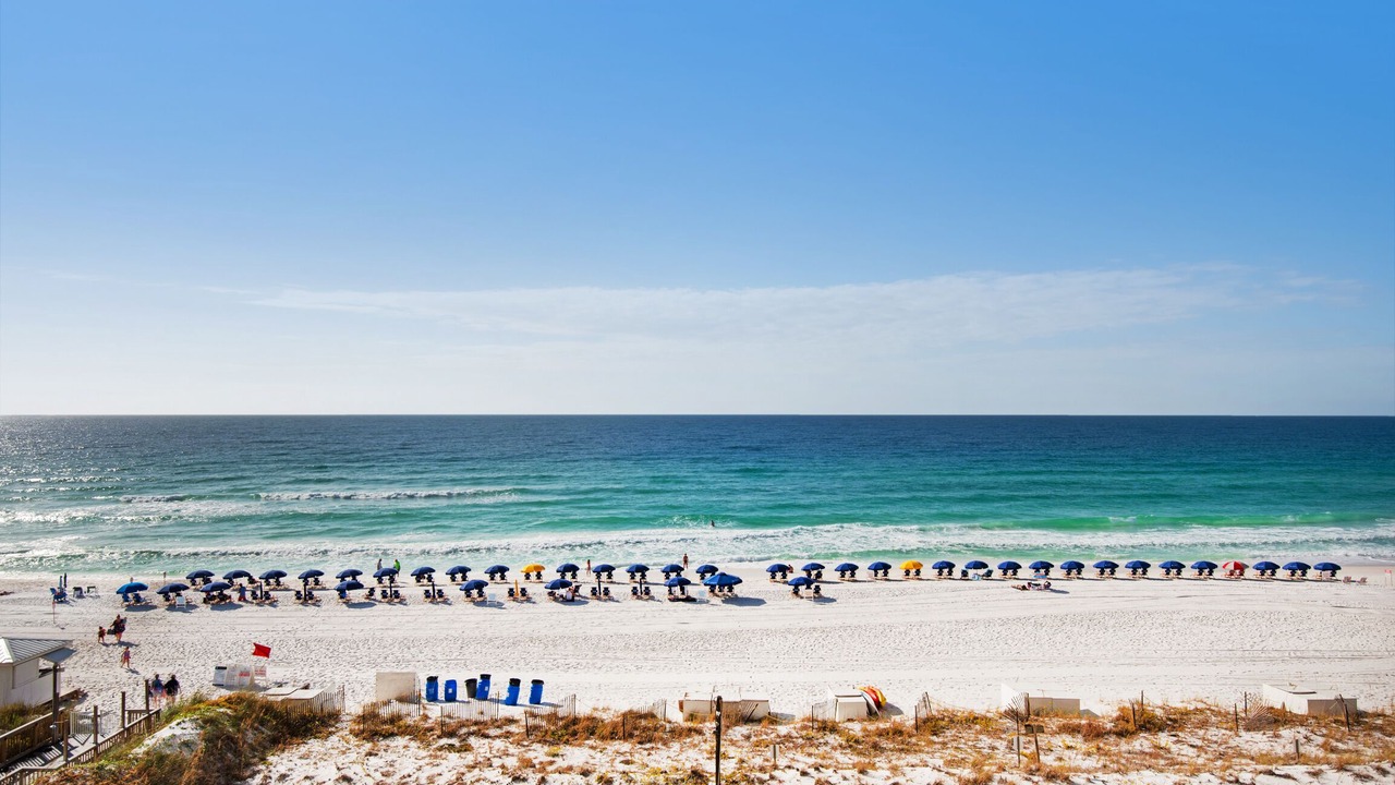 Photo of Others in Destin