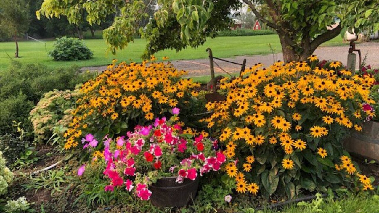 Photo of Outdoor in Walla Walla