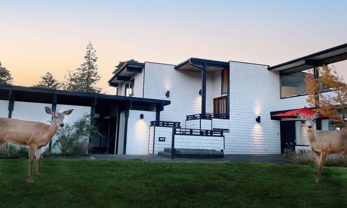 Photo of Outdoor in Port Angeles