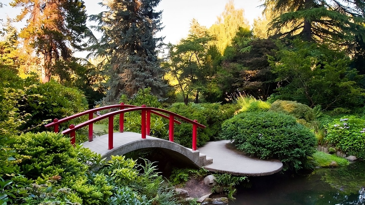 Photo of Outdoor in SeaTac