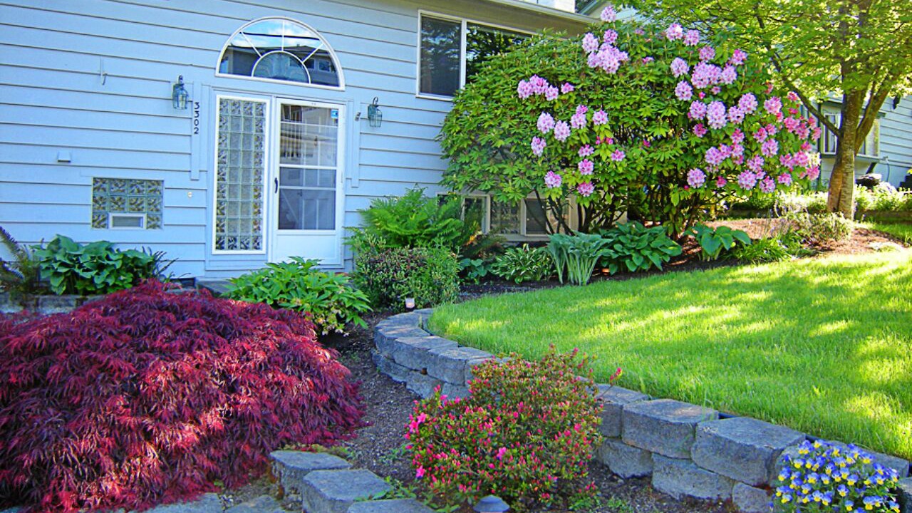 Photo of Others in Lynnwood