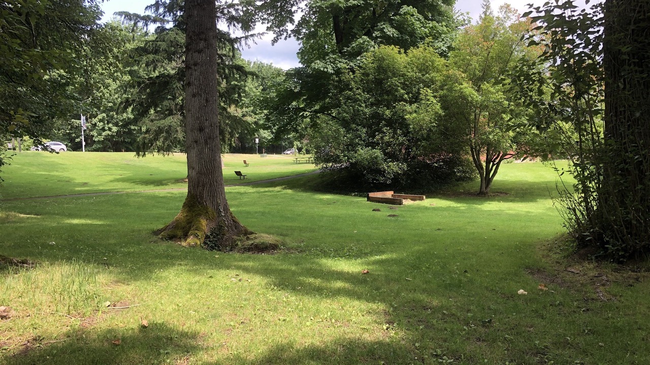 Photo of Others in North Bend