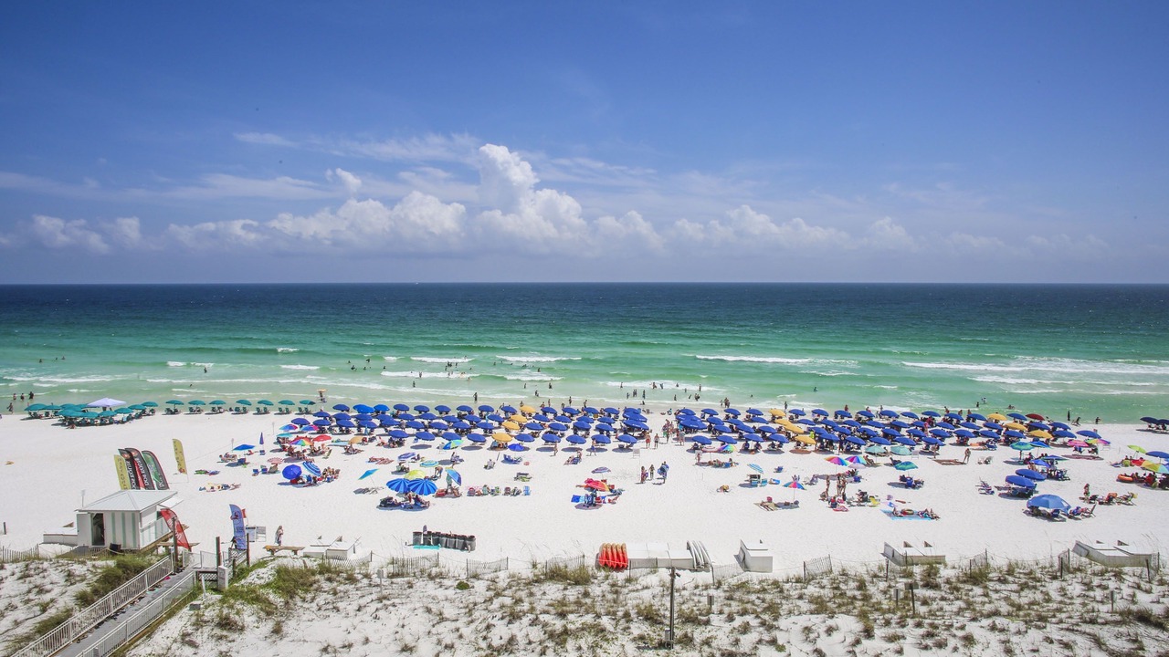 Photo of Others in Destin