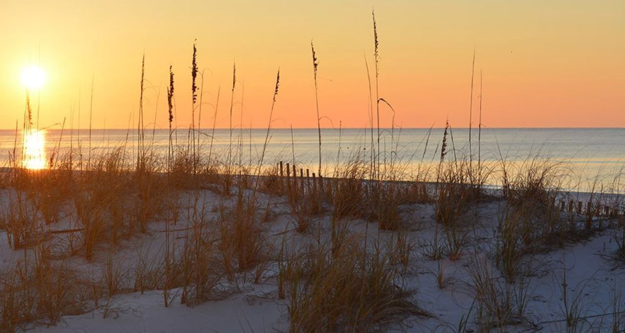 Photo of Others in Destin
