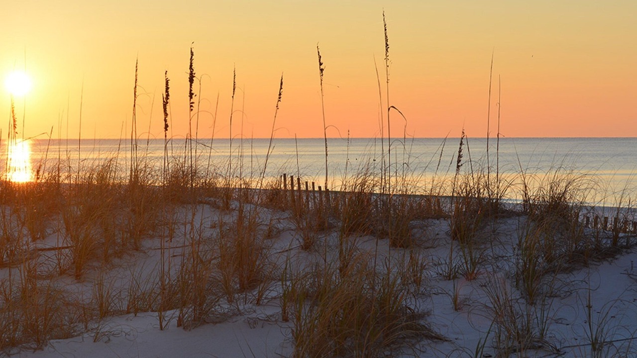 Photo of Others in Destin