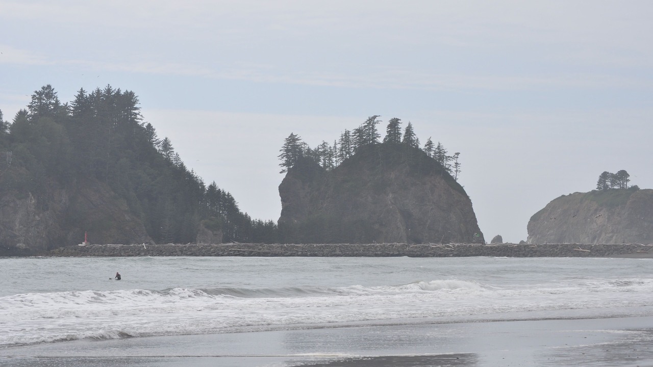 Photo of Others in Port Angeles