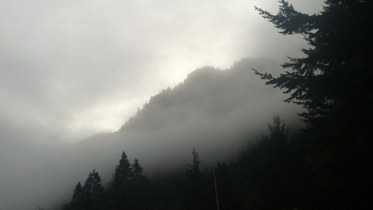 Photo of Others in Port Angeles