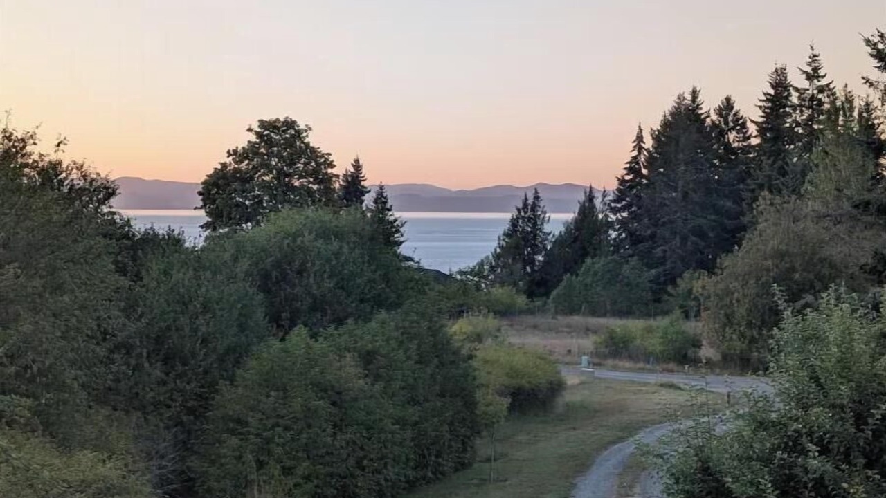 Photo of Others in Port Angeles