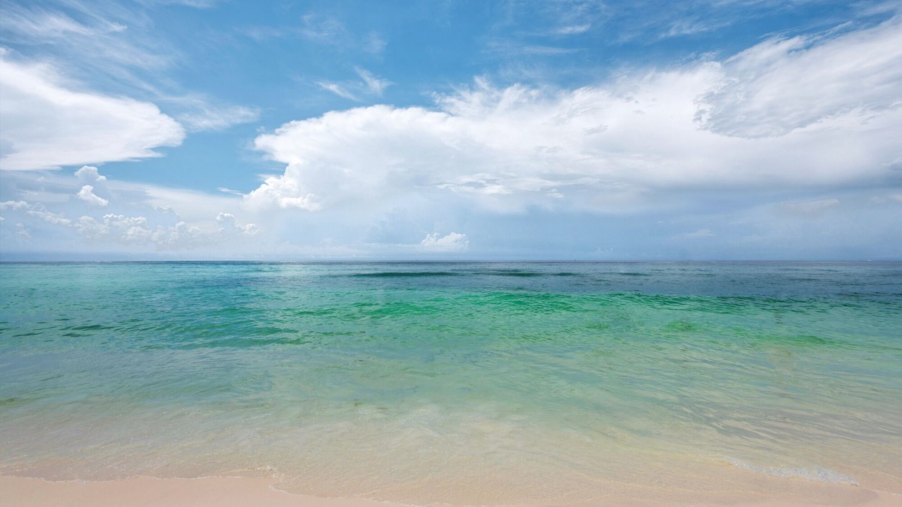 Photo of Others in Destin