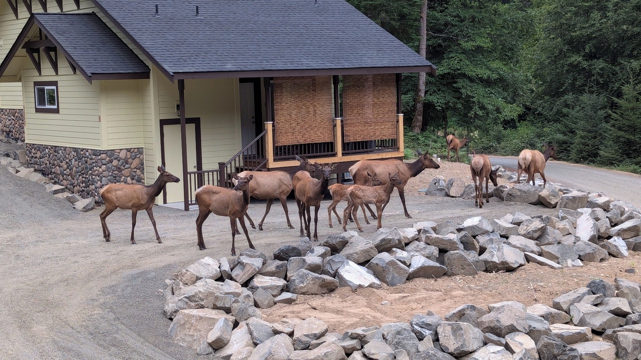 Photo of Others in Packwood