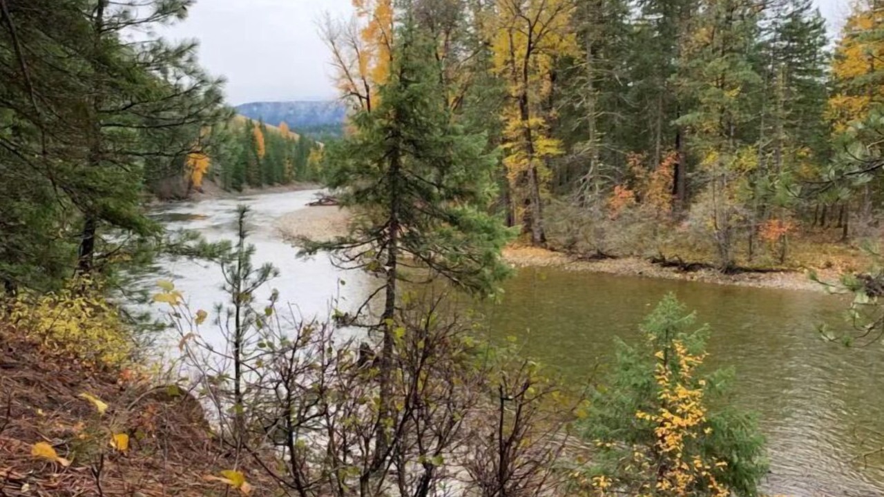 Photo of Outdoor in Ronald