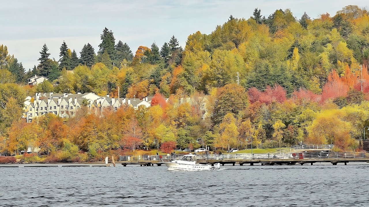 Photo of Others in Renton