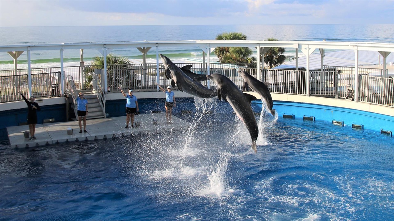 Photo of Outdoor in Destin