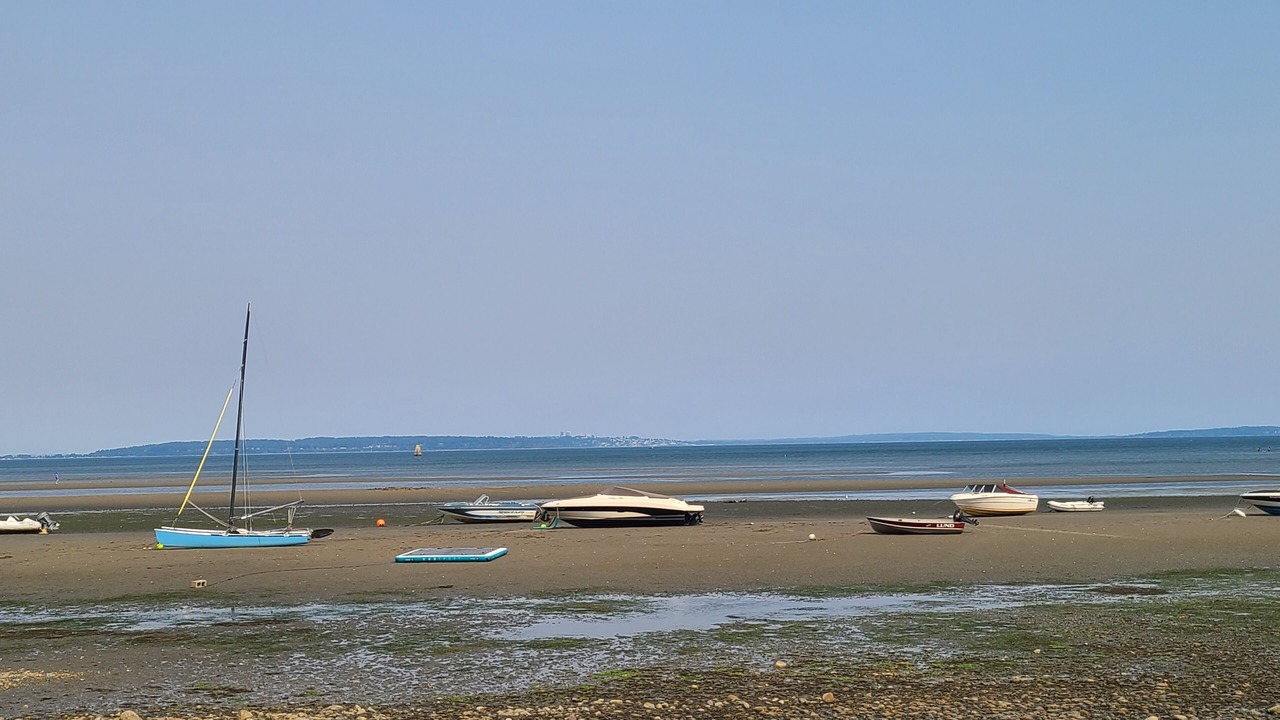 Photo of Others in Point Roberts