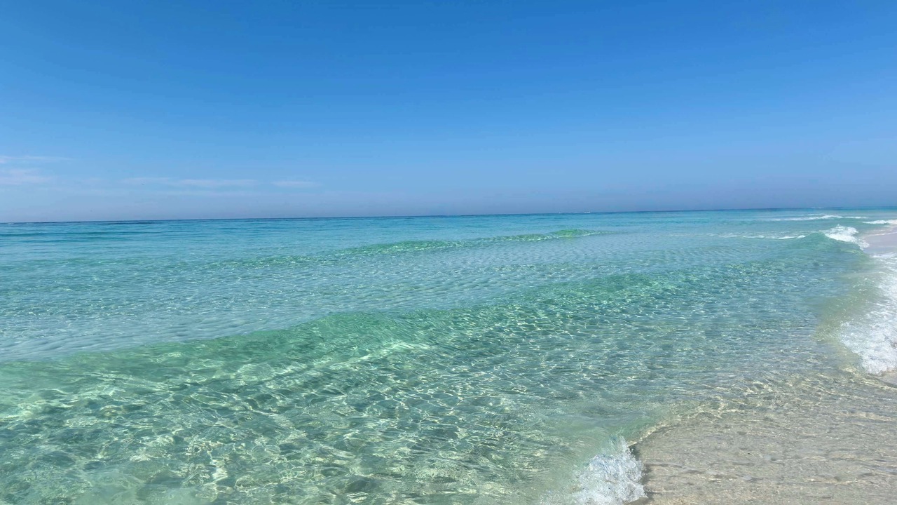 Photo of Others in Destin