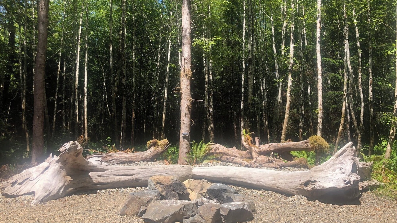 Photo of Others in Forks